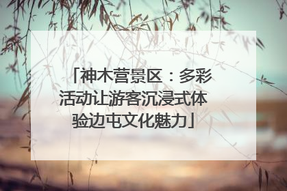 神木营景区：多彩活动让游客沉浸式体验边屯文化魅力